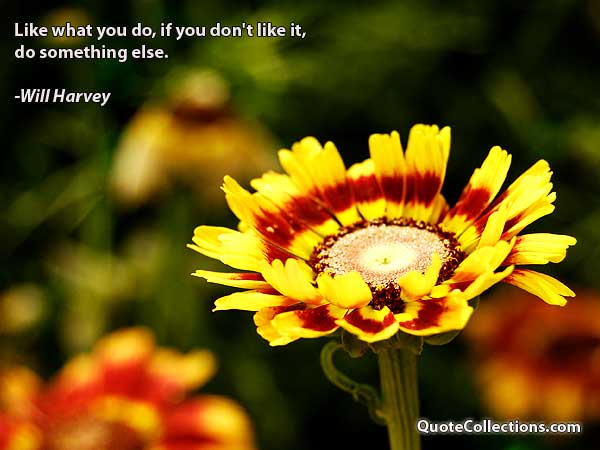 Will Harvey Quotes5
